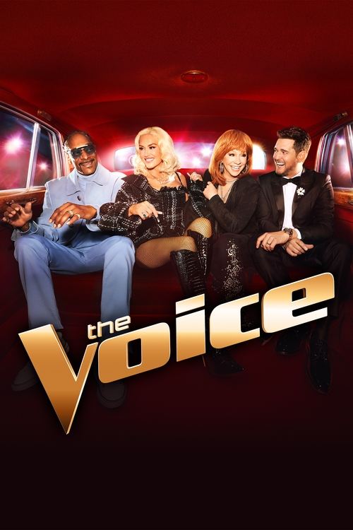 Locandina di The Voice (2011)