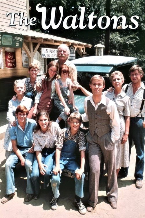 Locandina di Una famiglia americana (1972)