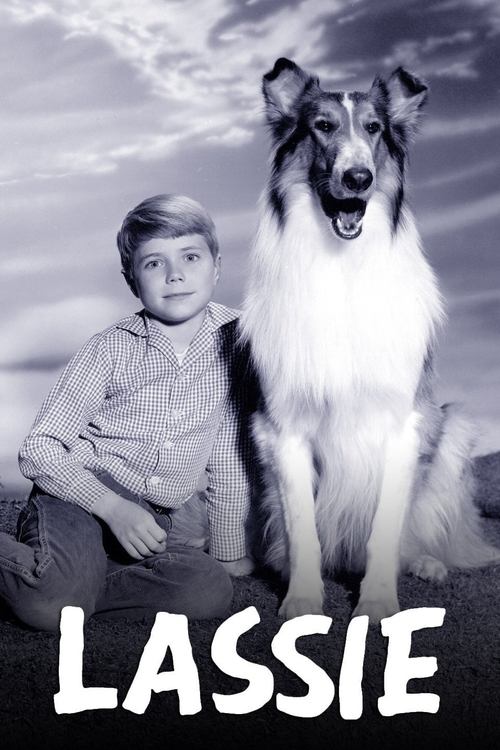 Locandina di Lassie (1954)