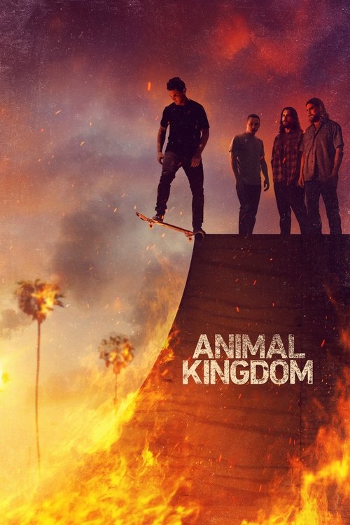 Locandina di Animal Kingdom (2016)