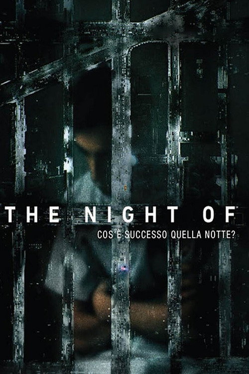 Locandina di The Night of - Cosa è successo quella notte? (2016)