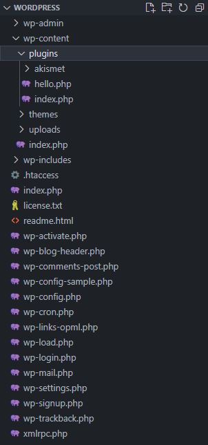 WordPress Folder Structure