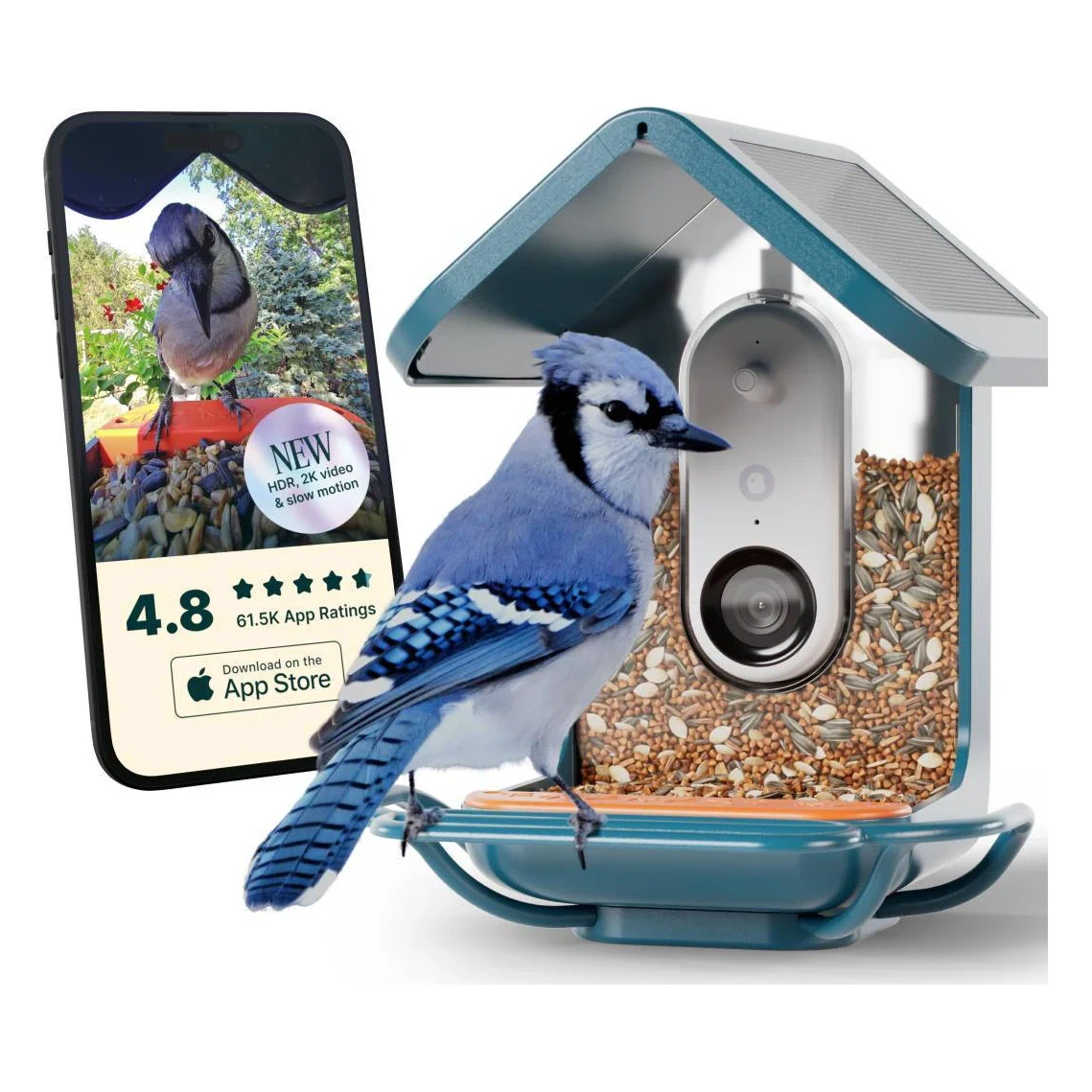 Bird Buddy Smart Bird Feeder