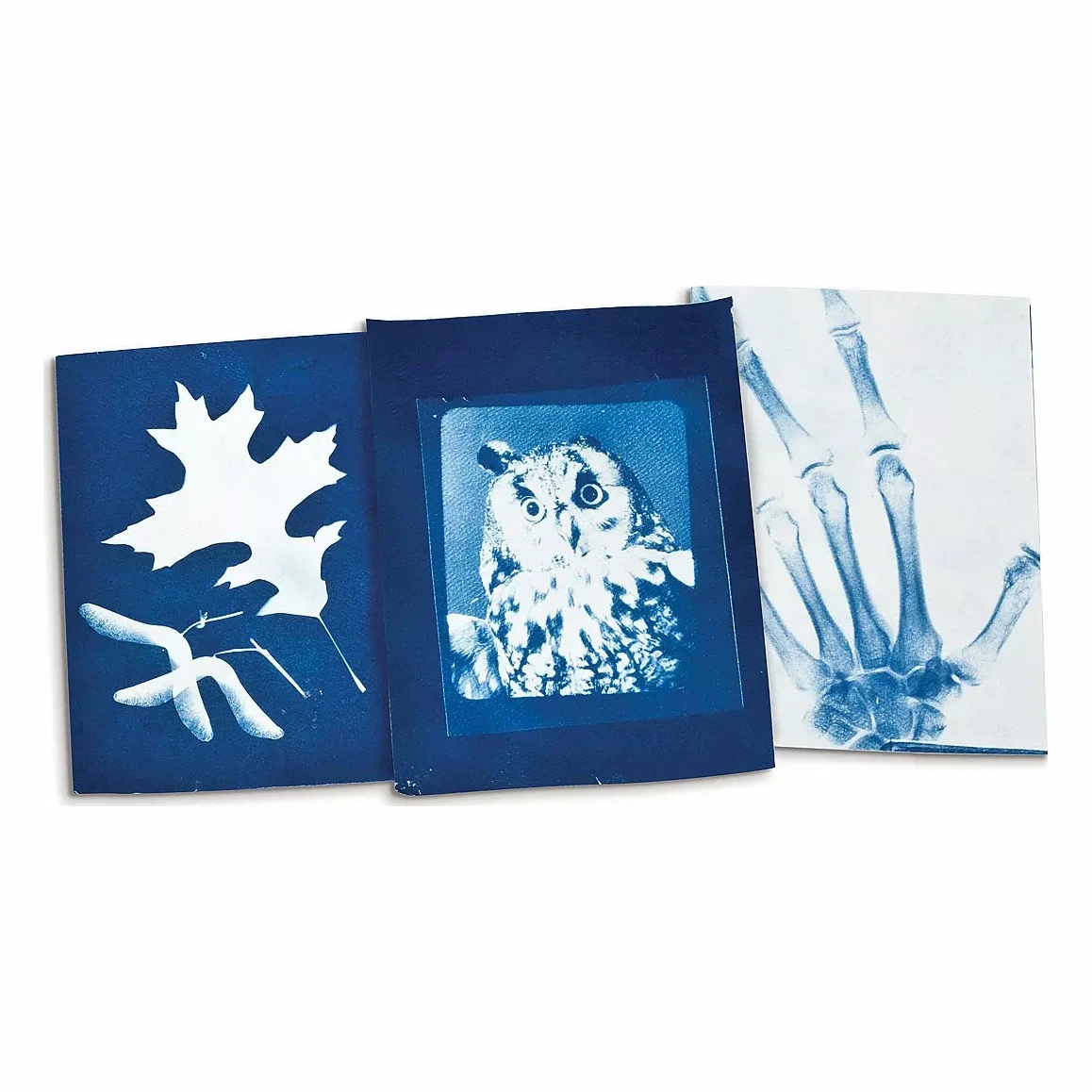Solar Photography Kit (Cyanotype Sun Prints)