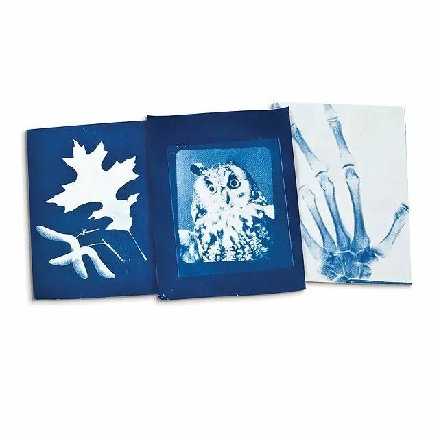 Solar Photography Kit (Cyanotype Sun Prints)