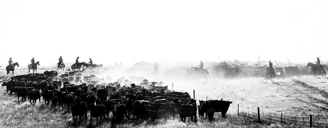 Four Sixes® Ranch Brand Beef