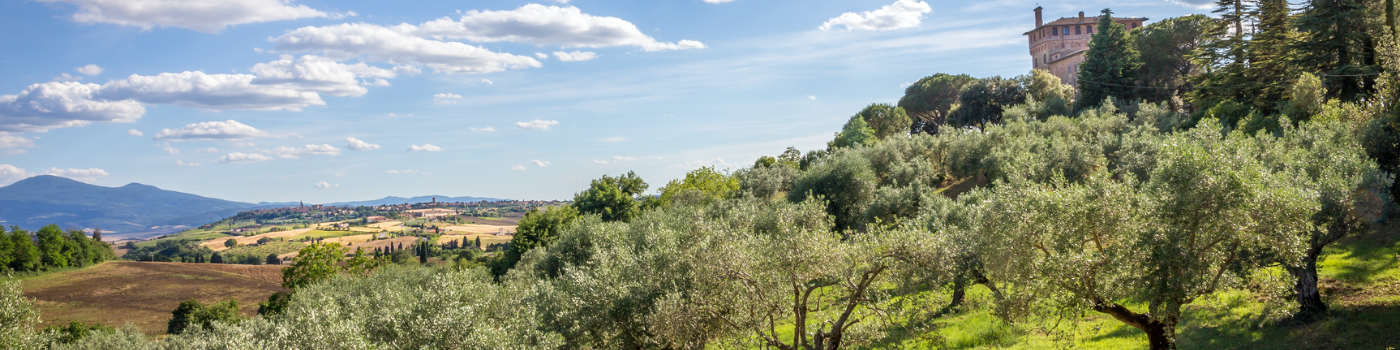 Olio Piro.