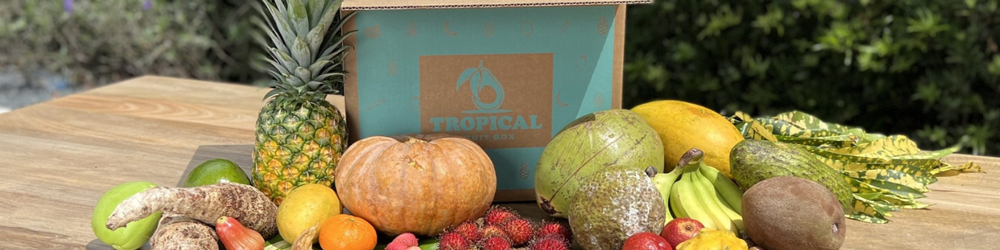 Tropical Fruit Box Corporate Gift Shop