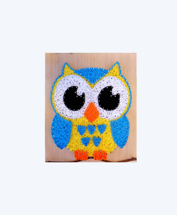 Handmade Owl String Art – Colorful Decorative Design