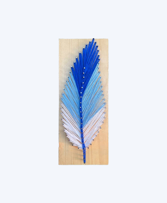 Handmade Gradient Feather String Art