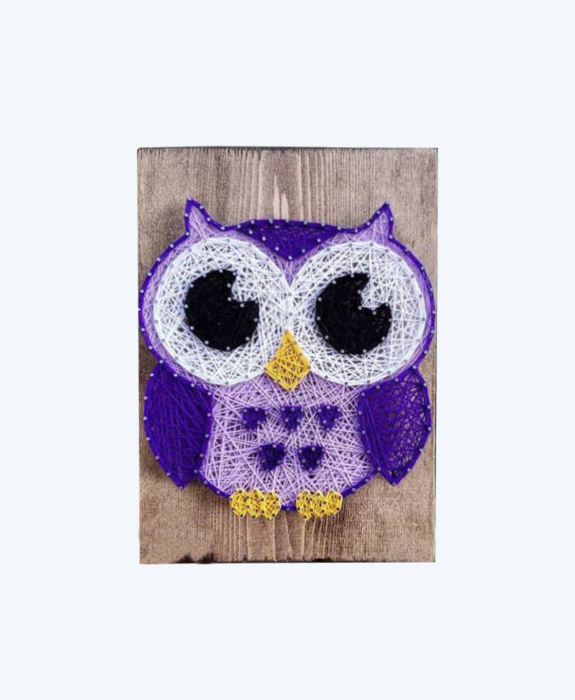 Wise Owl String Art