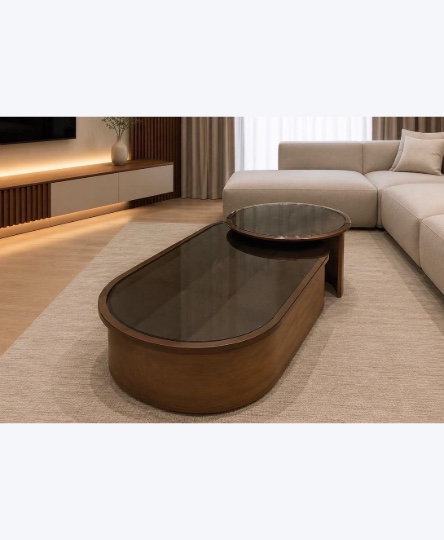 Modern 2 Coffee Table