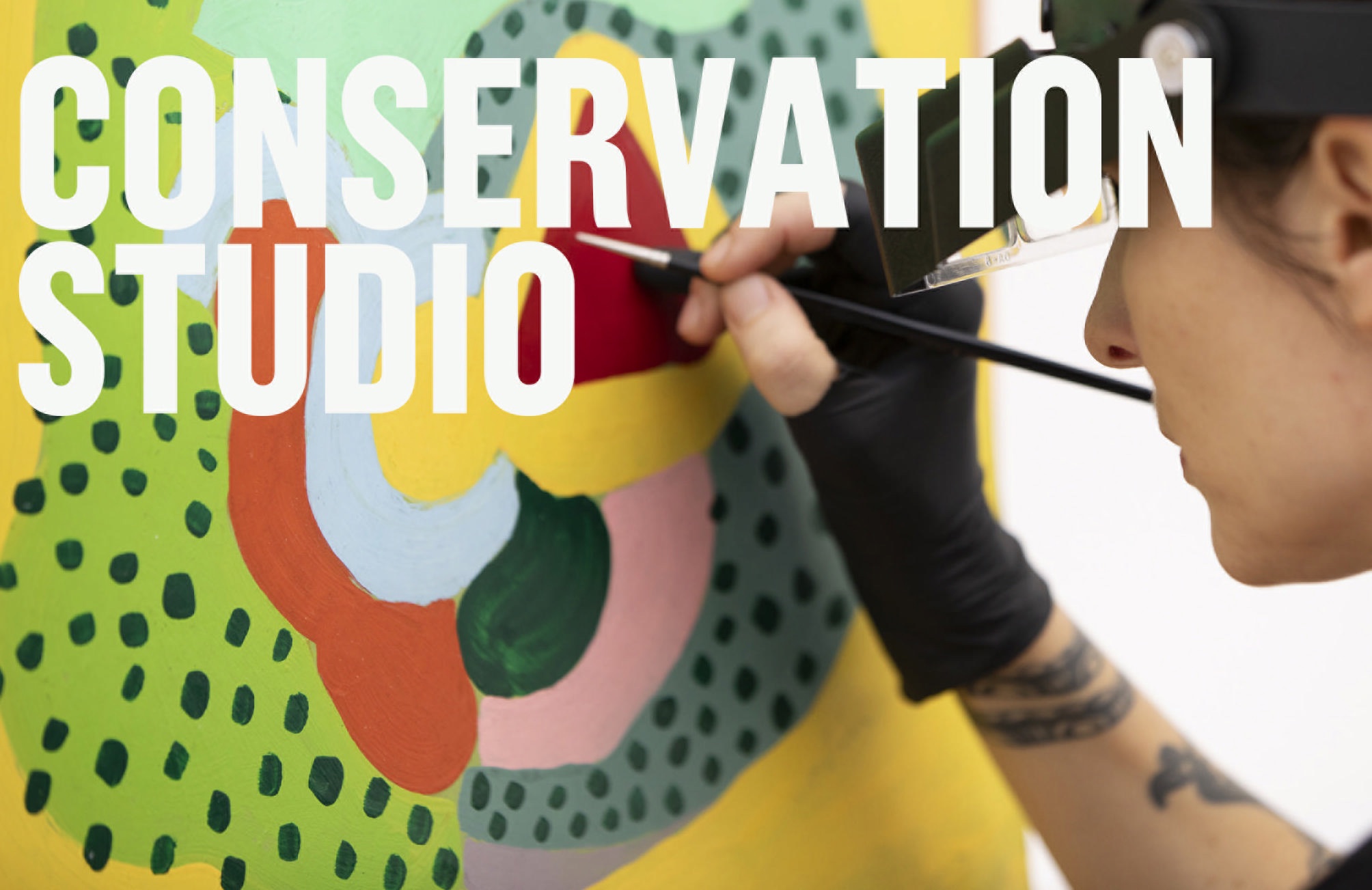 Conservation Studio