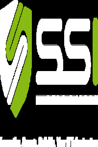 SSI IT Consulting GmbH