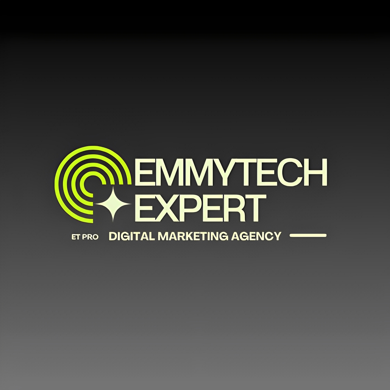 EmmyTech Expert