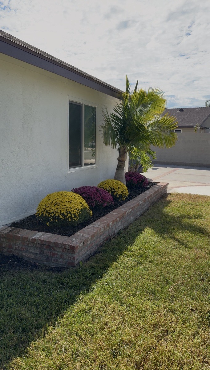 House Remodel Project — Sergio Rosalez