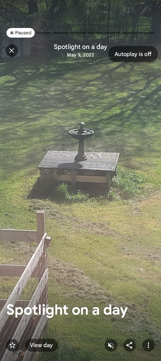 Woodworking and Gardening projects — Jeffery Gauntt