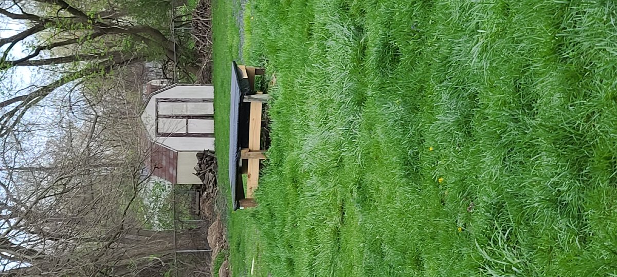 Woodworking and Gardening projects — Jeffery Gauntt