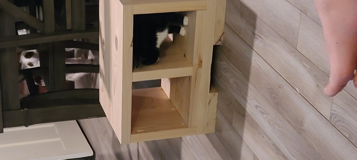 Woodworking and Gardening projects — Jeffery Gauntt