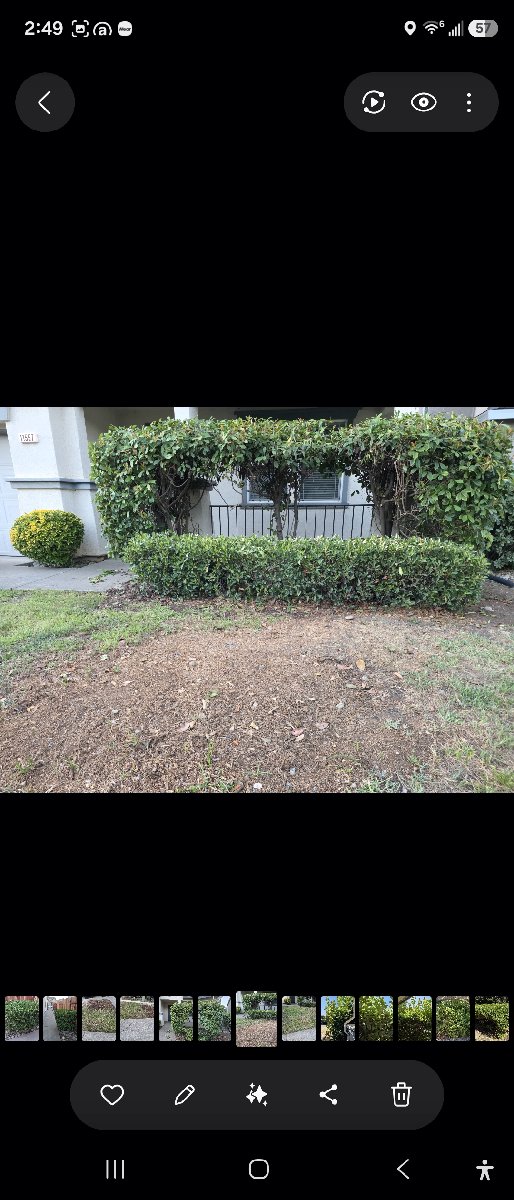In Rancho Cordova — ali kia