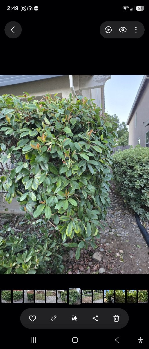In Rancho Cordova — ali kia