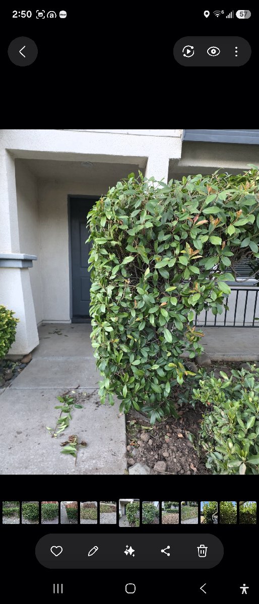 In Rancho Cordova — ali kia