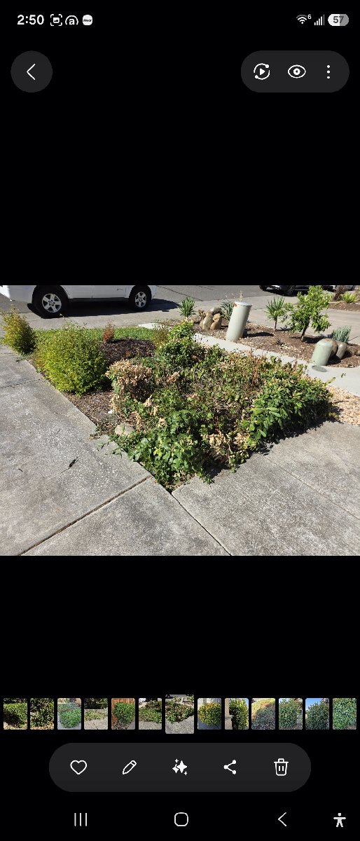 In Rancho Cordova — ali kia