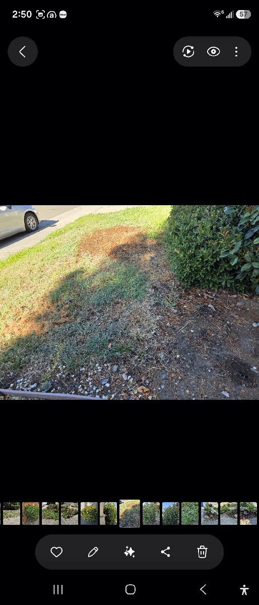 In Rancho Cordova — ali kia