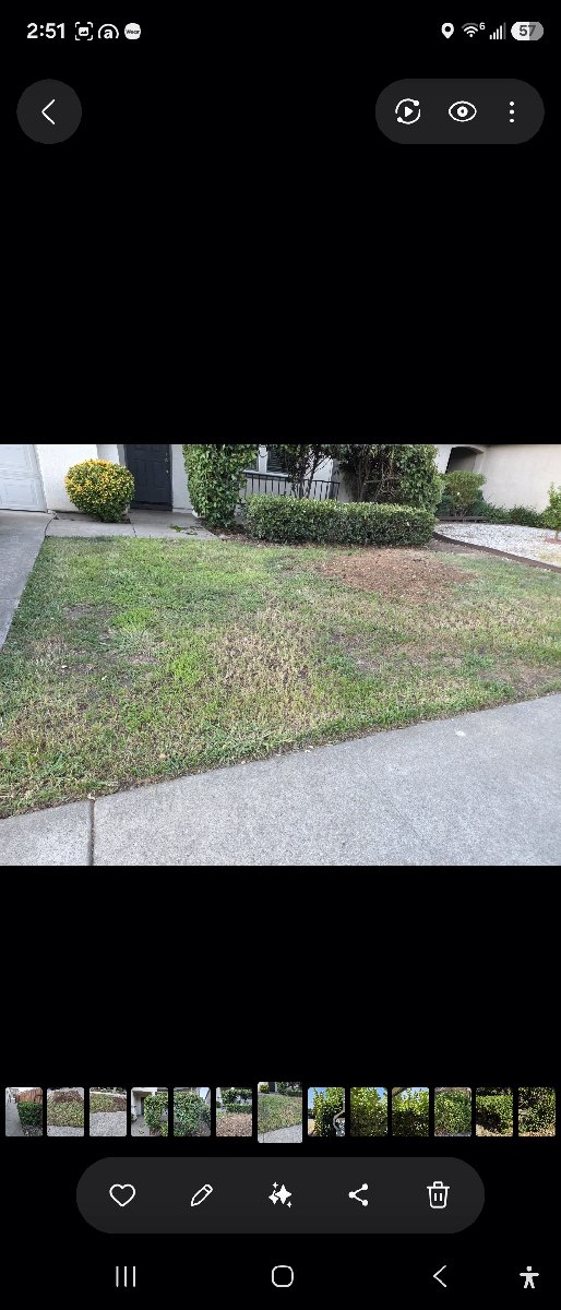 In Rancho Cordova — ali kia