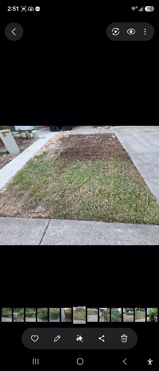 In Rancho Cordova — ali kia