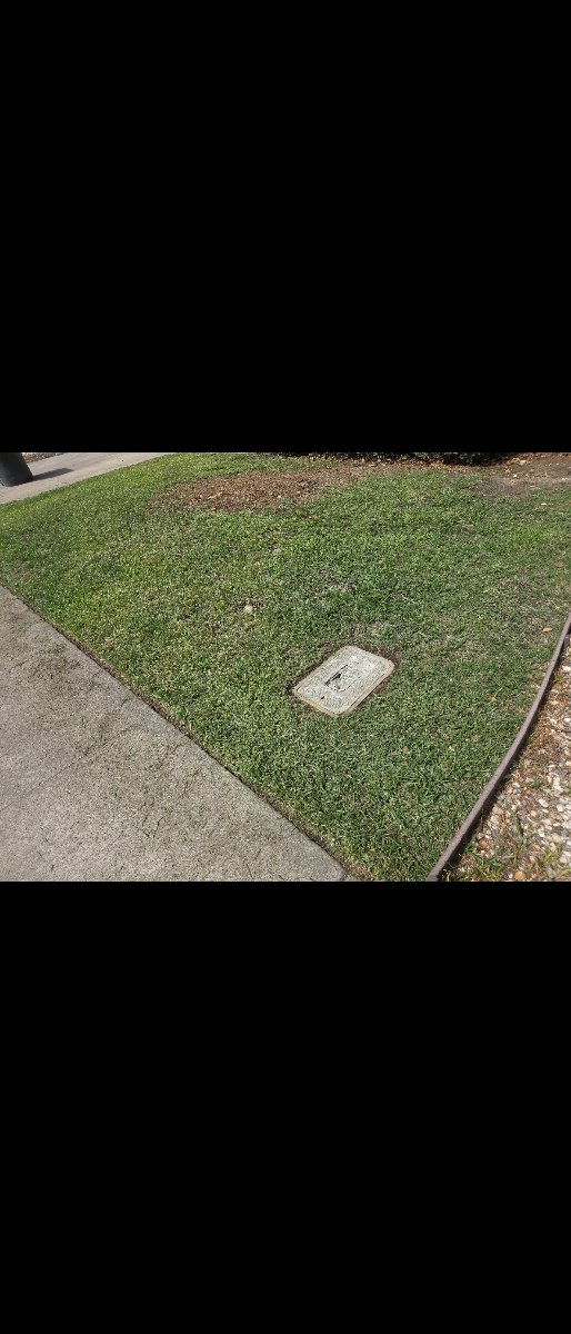 In Rancho Cordova — ali kia