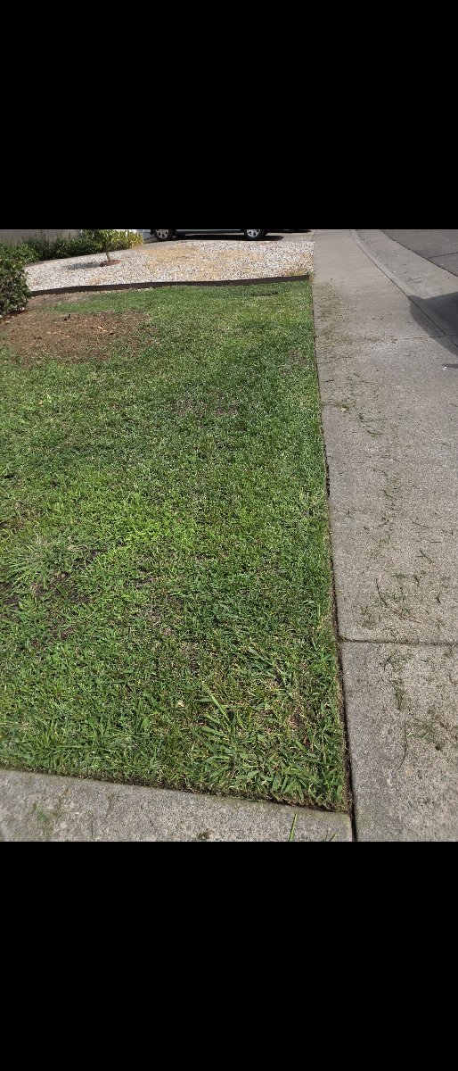 In Rancho Cordova — ali kia