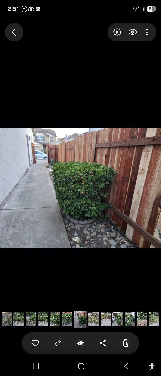 In Rancho Cordova — ali kia