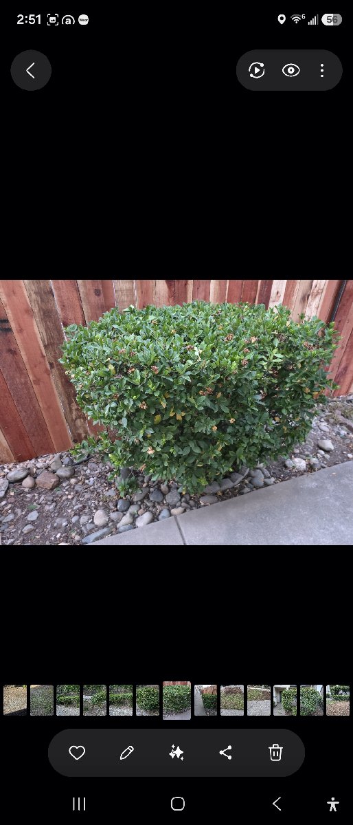 In Rancho Cordova — ali kia