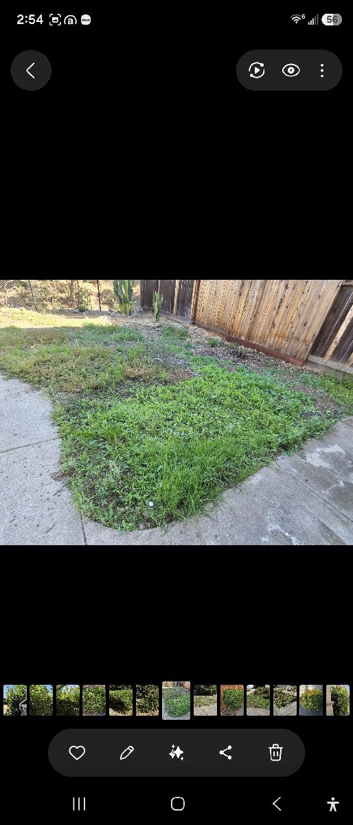 In Rancho Cordova — ali kia