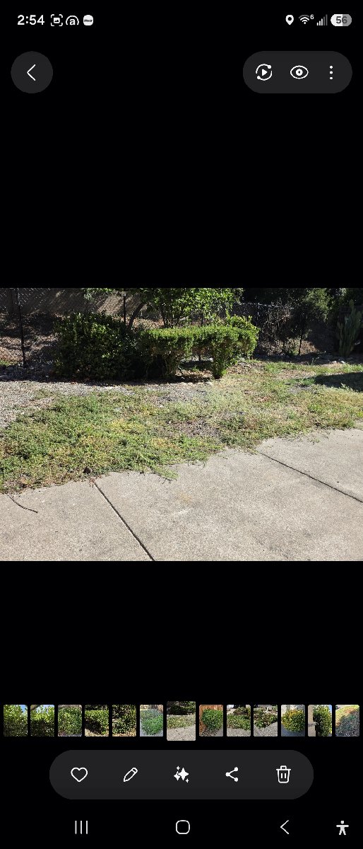 In Rancho Cordova — ali kia