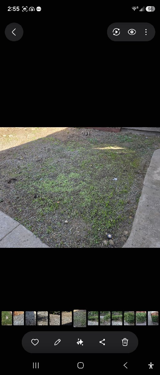 In Rancho Cordova — ali kia