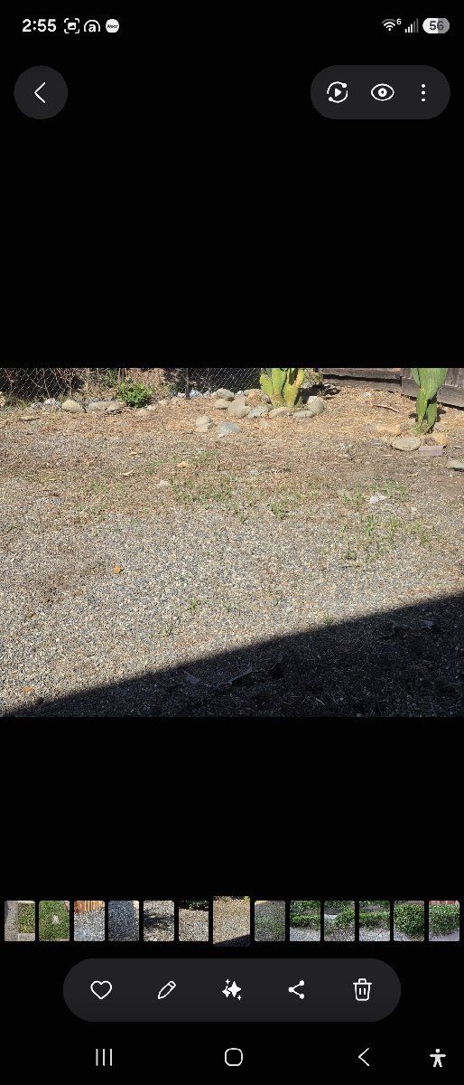 In Rancho Cordova — ali kia