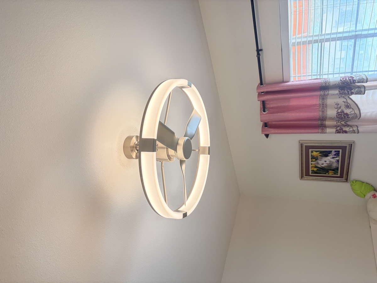 Modern LED Ceiling Fan Installation — Leo du