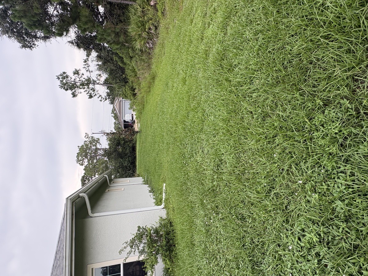 lawn — Quleton Monix 