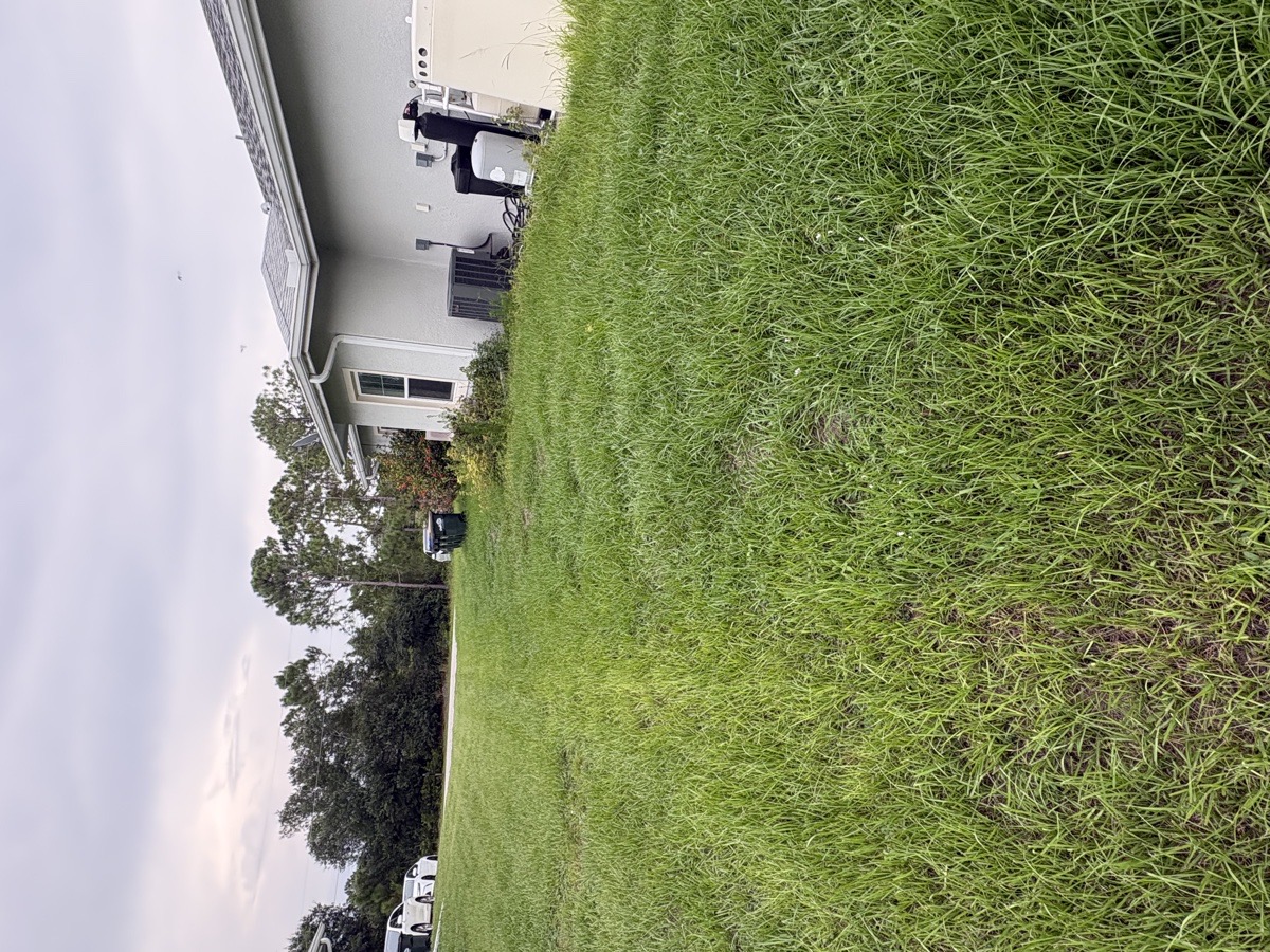 lawn — Quleton Monix 