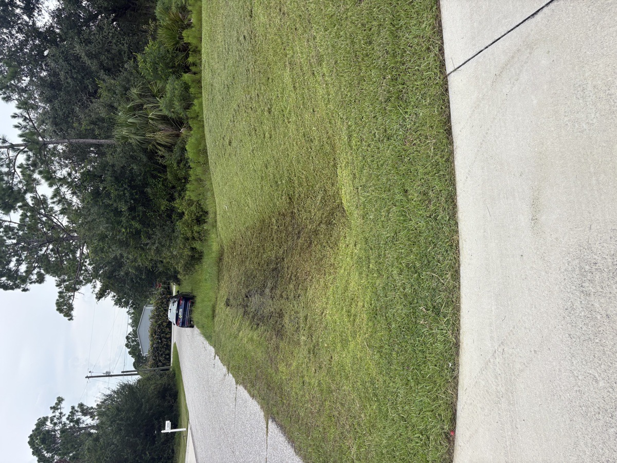 lawn — Quleton Monix 