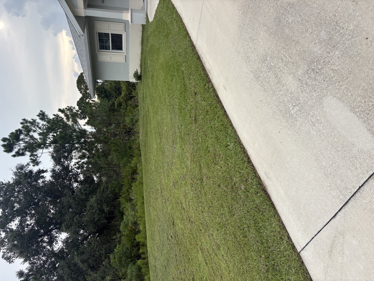 lawn — Quleton Monix 