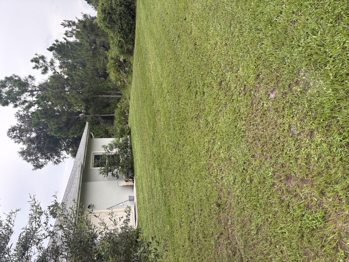 lawn — Quleton Monix 