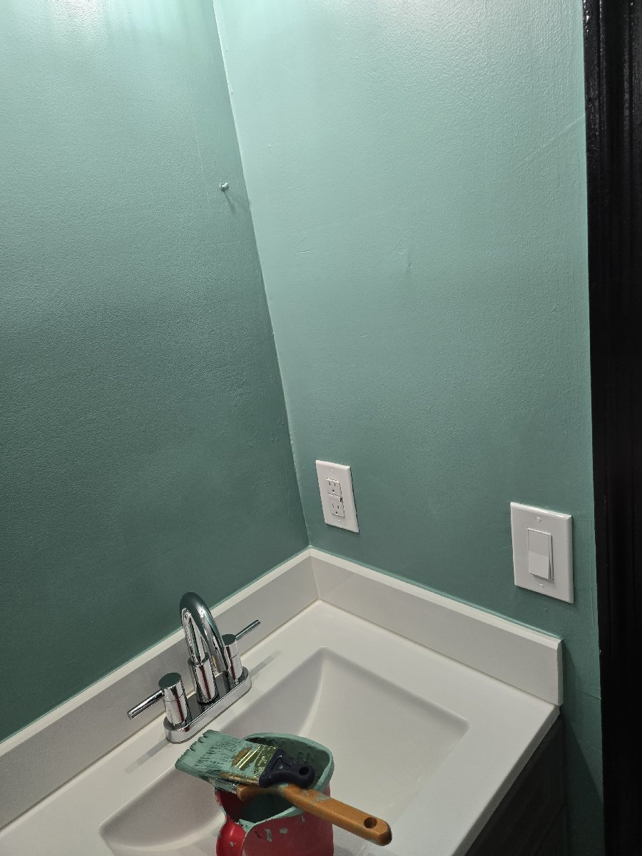 bathroom renovation — Swaby