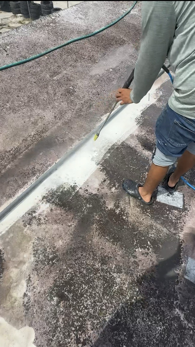 Ceiling cleaning — Jose 