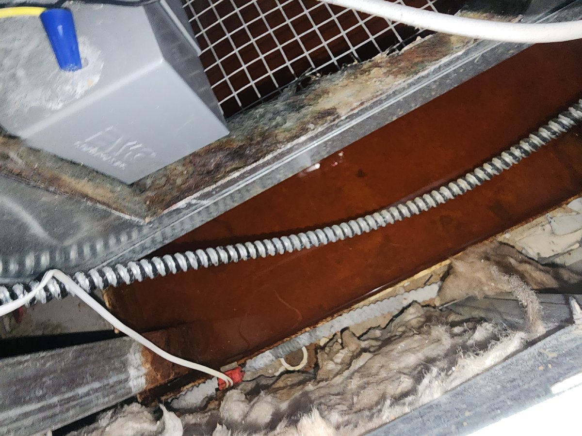 HVAC maintenance — Carlos Santana