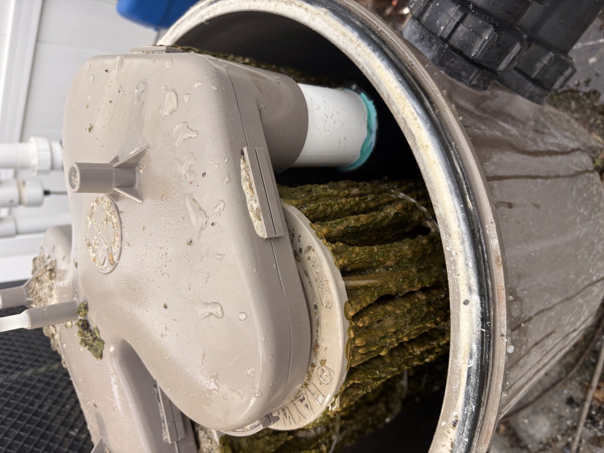 Paving installation, pool cleaning, opening and closing, filter cleaning. — Ihor Mazurak 