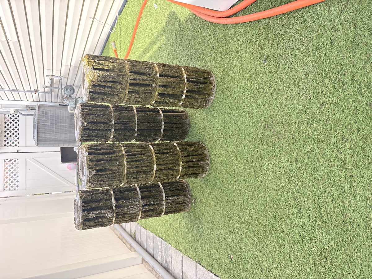 Paving installation, pool cleaning, opening and closing, filter cleaning. — Ihor Mazurak 