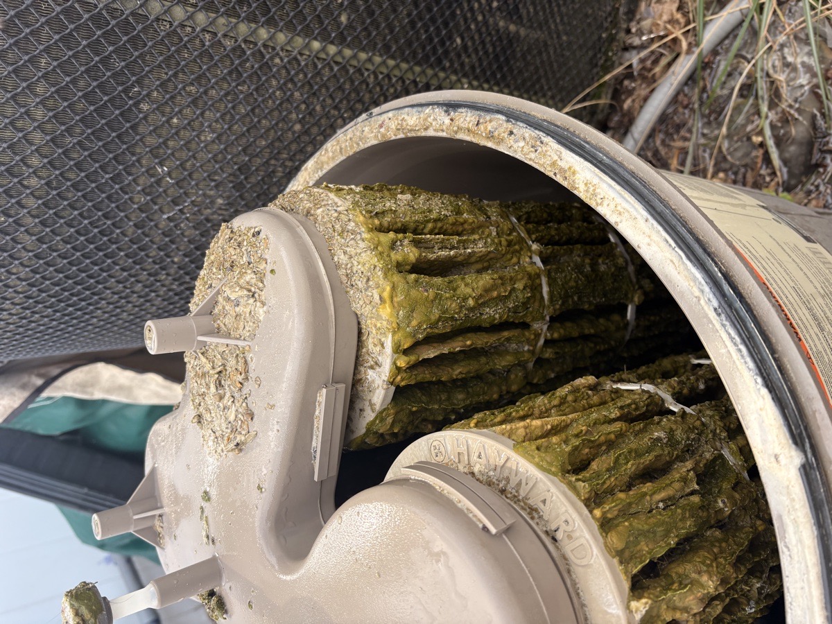Paving installation, pool cleaning, opening and closing, filter cleaning. — Ihor Mazurak 
